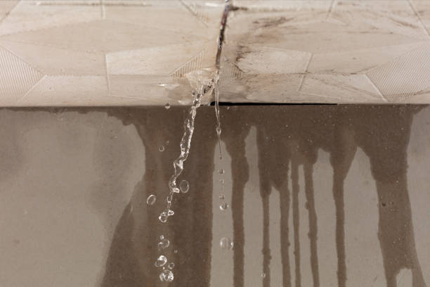 Professional Sewage Cleanup technician working in Howard City, MI